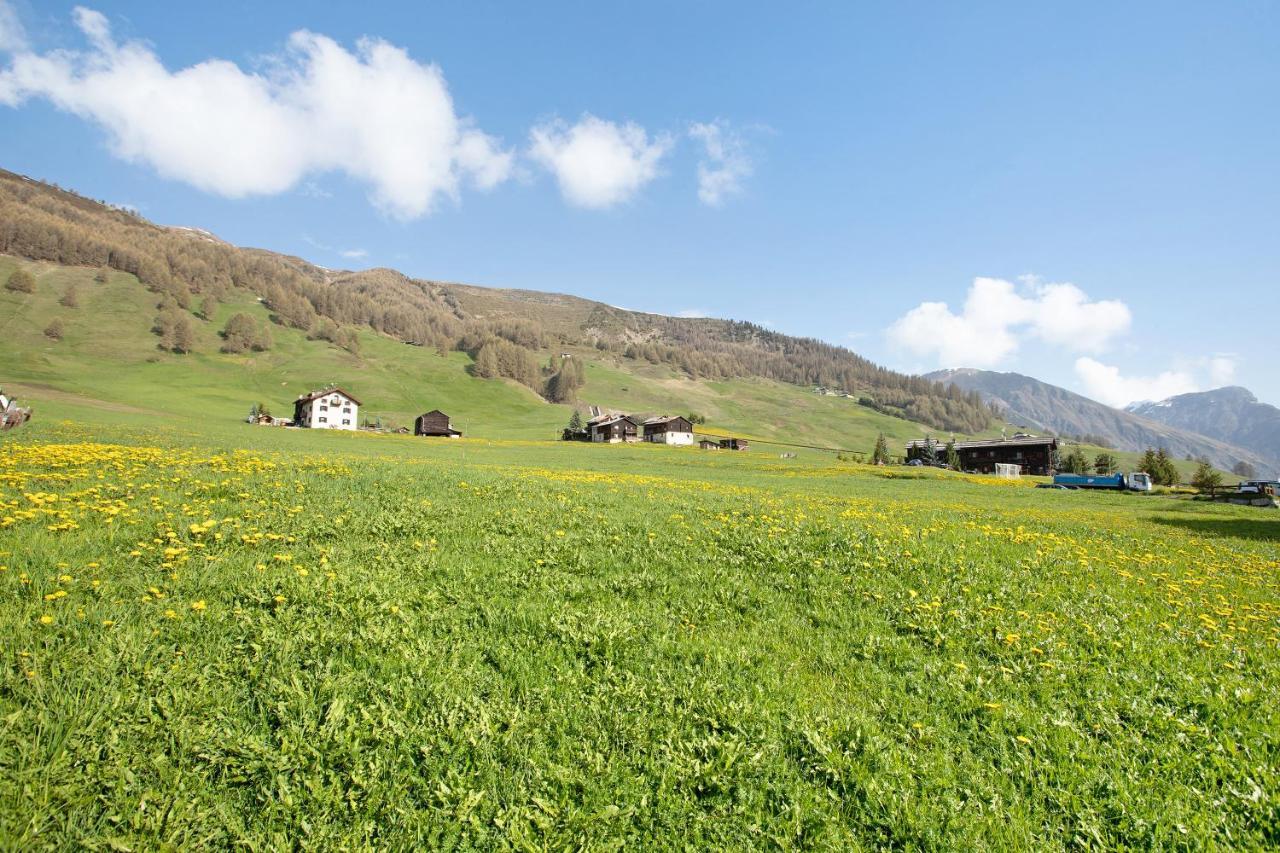 Baita Truzz Appartamento Valle Livigno Exterior foto